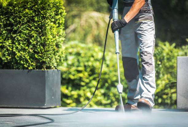 Boat and Dock Cleaning in Mount Carroll, IL